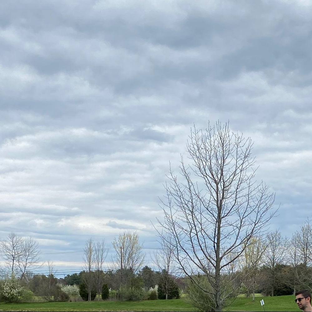 Meet your Posher, Haneen